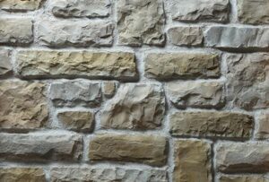 Ota Benga Duvar Taşı - Arena